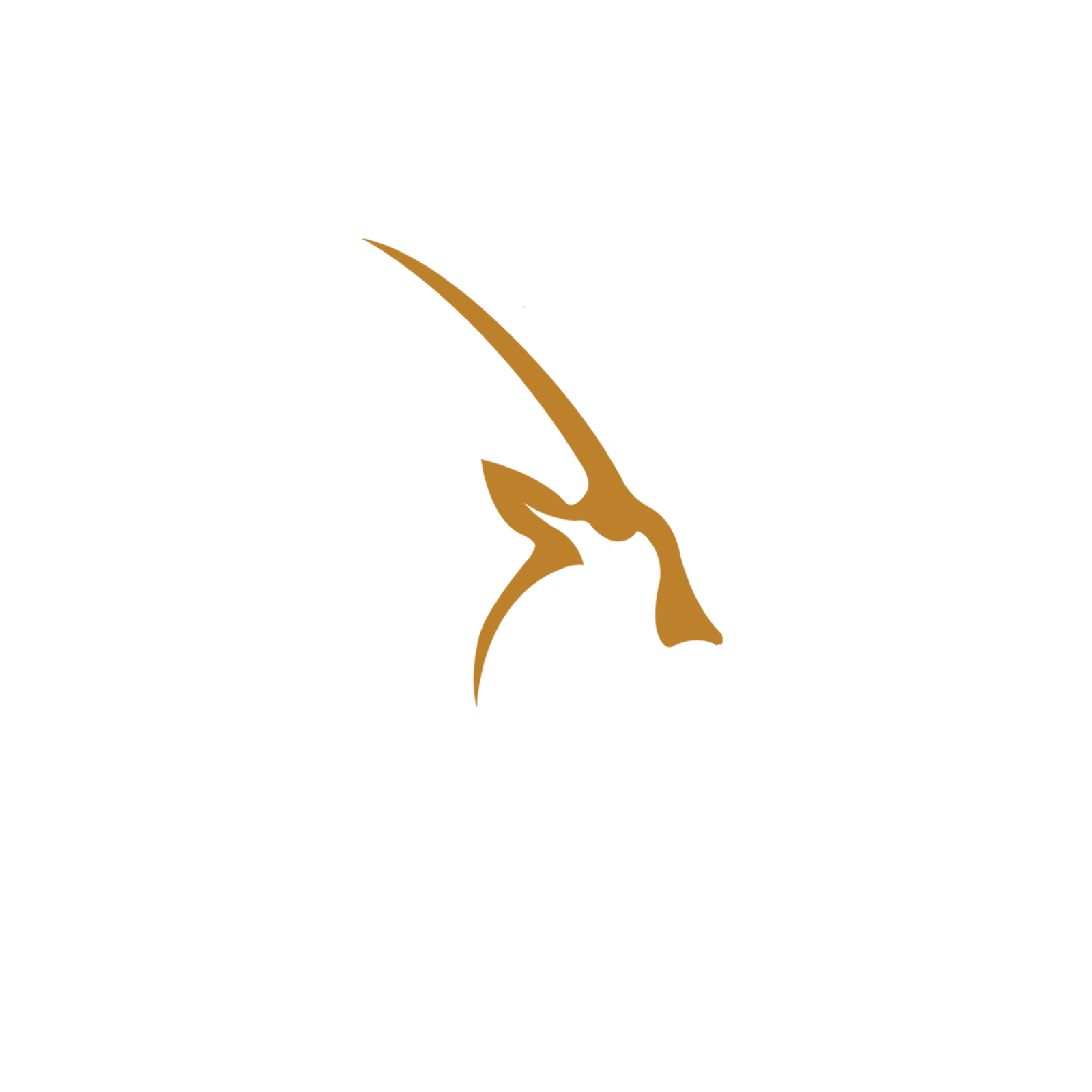 loader image